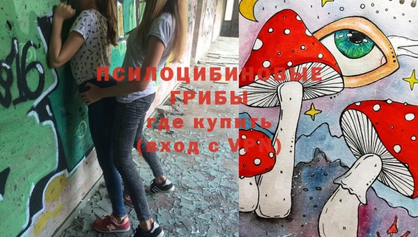 а пвп мука Краснослободск
